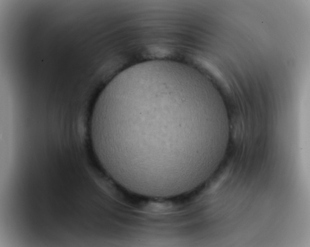 X0000091940455200709261935