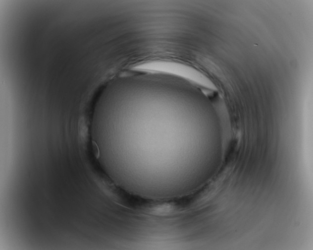 X0000091940456200709261935