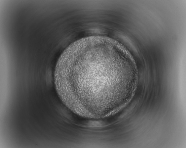 X0000091940457200709261935