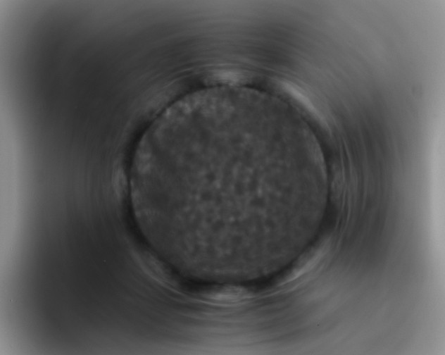 X0000091940459200709261935