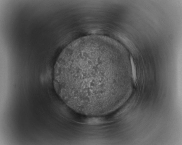 X0000091940461200709261935