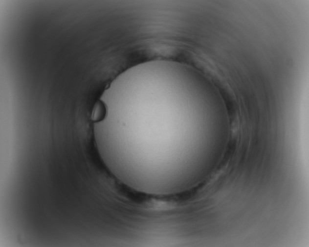 X0000091940464200709261935