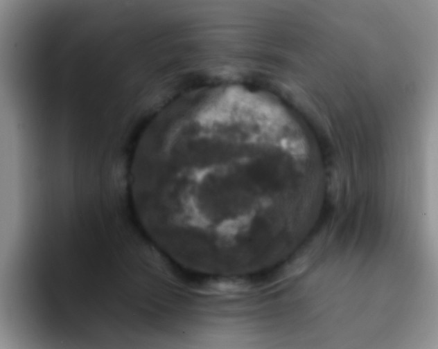 X0000091940466200709261936