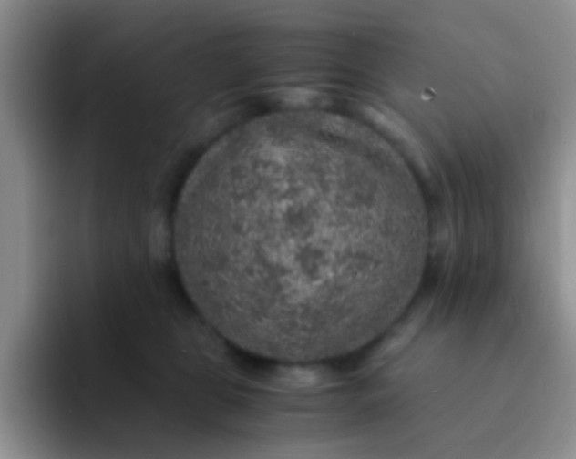 X0000091940469200709261936