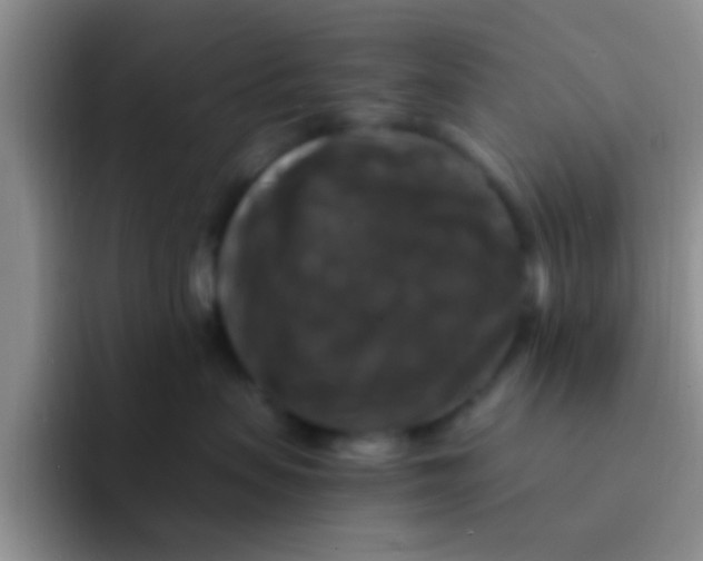 X0000091940479200709261936