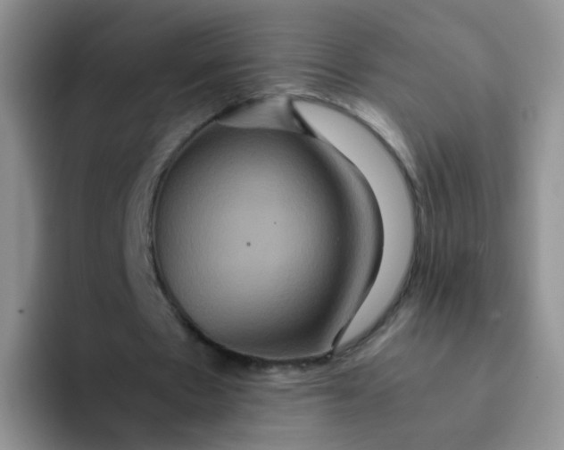 X0000091940481200709261935