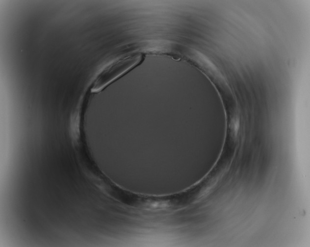 X0000091940484200709261935