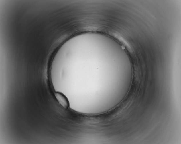 X0000091940486200709261935