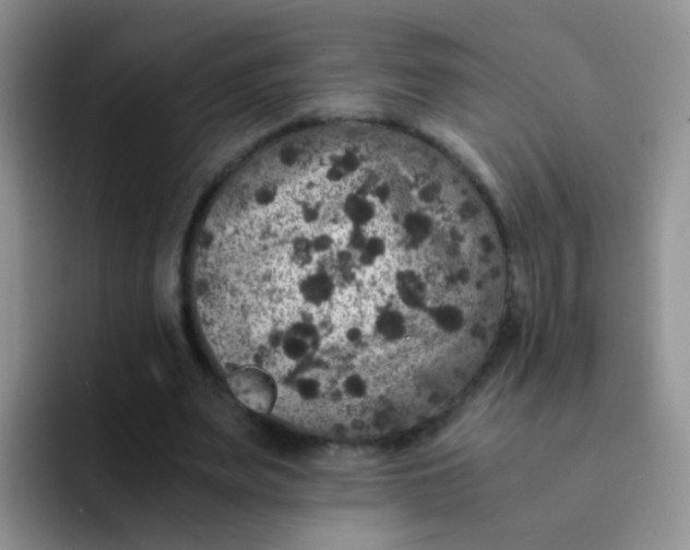 X0000091940487200709261935