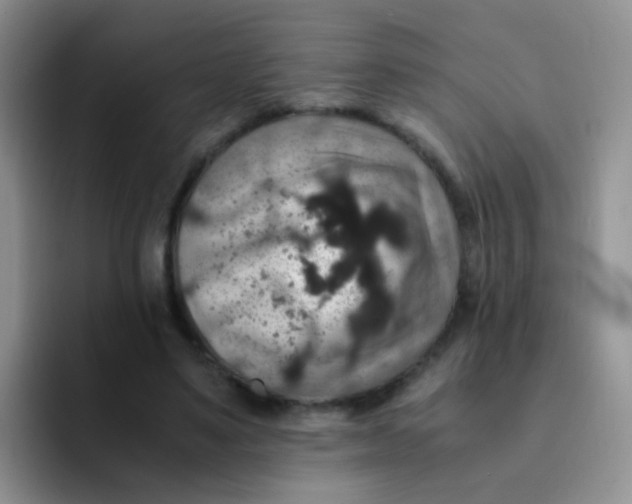 X0000091940491200709261935