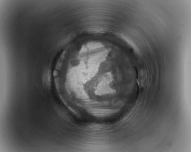 X0000091940494200709261935