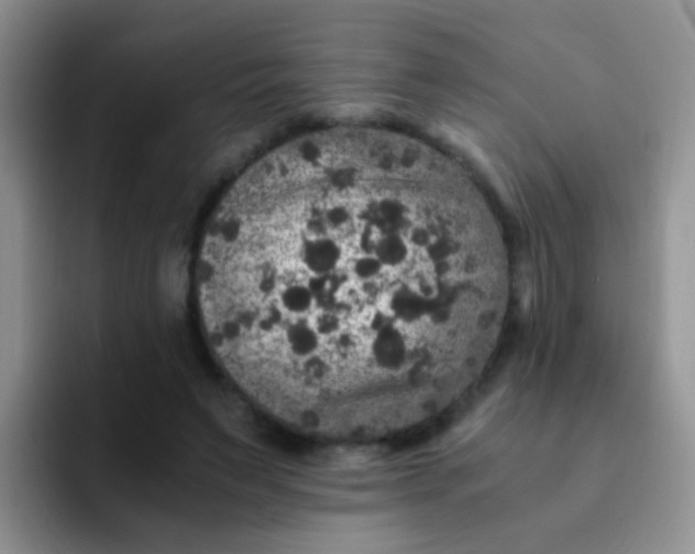 X0000091940495200709261935