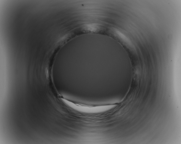 X0000091940500200709261935