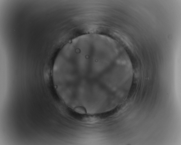 X0000091940503200709261935