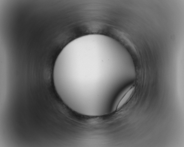 X0000091940505200709261935