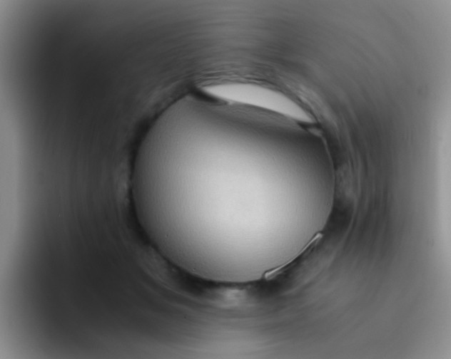 X0000091940509200709261935