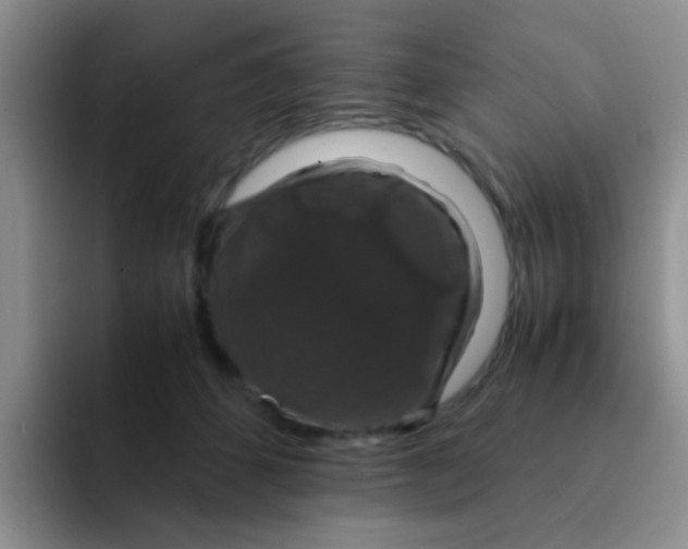 X0000091940512200709261935