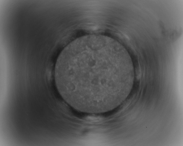 X0000091940515200709261935