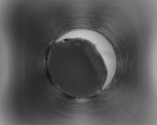 X0000091940520200709261934