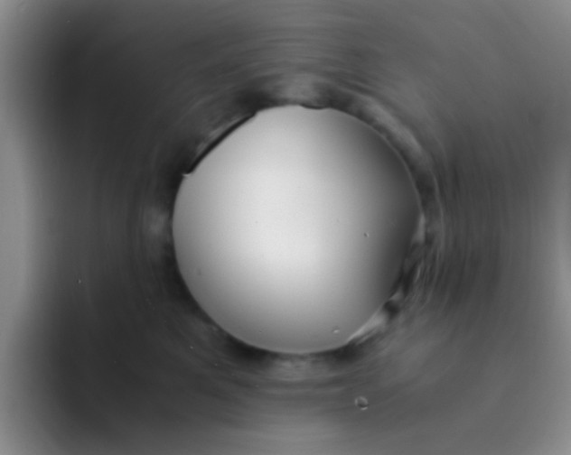 X0000091940521200709261934