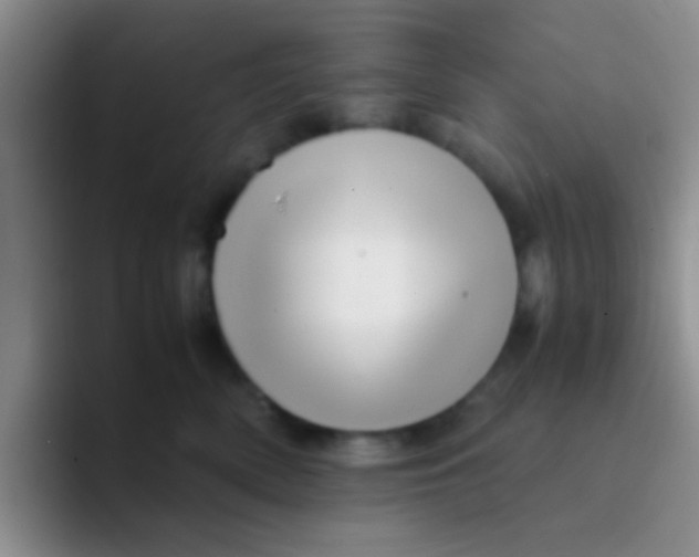 X0000091940522200709261934