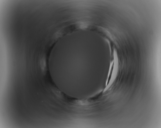 X0000091940524200709261934