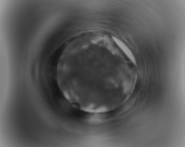 X0000091940527200709261934