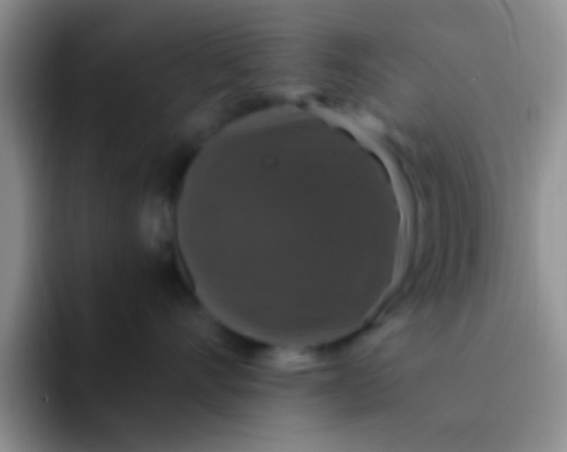 X0000091940528200709261934