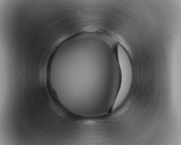 X0000091940530200709261934