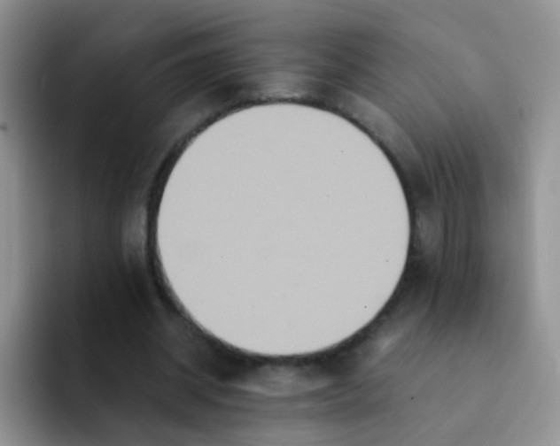 X0000091940534200709261934