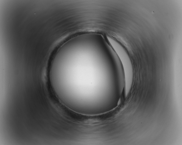 X0000091940536200709261934