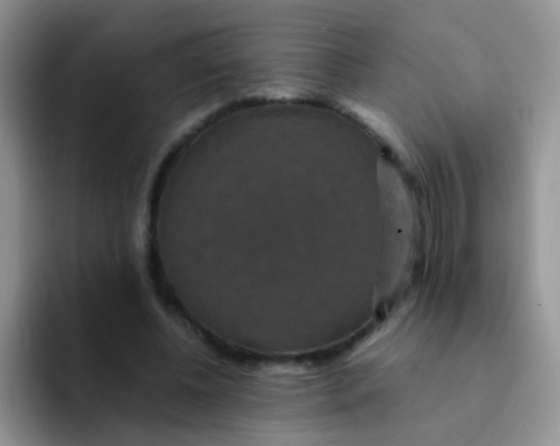 X0000091940540200709261934