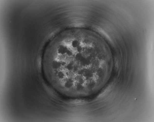 X0000091940542200709261934