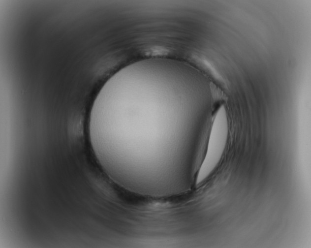 X0000091940543200709261934