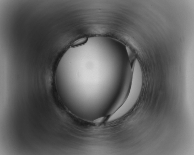 X0000091940544200709261934