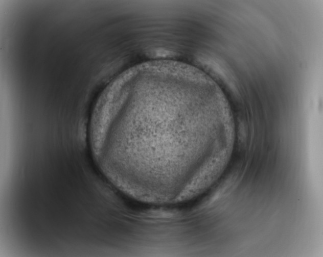 X0000091940545200709261934