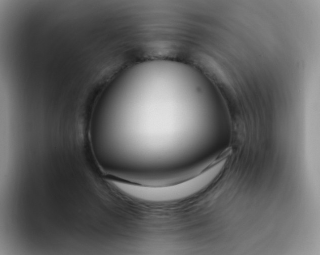 X0000091940546200709261934