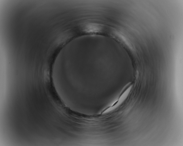 X0000091940547200709261934