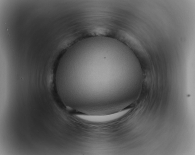 X0000091940548200709261934