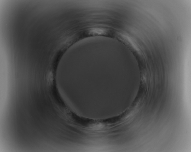 X0000091940551200709261934