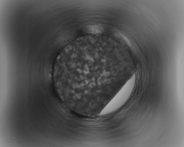 X0000091940553200709261934