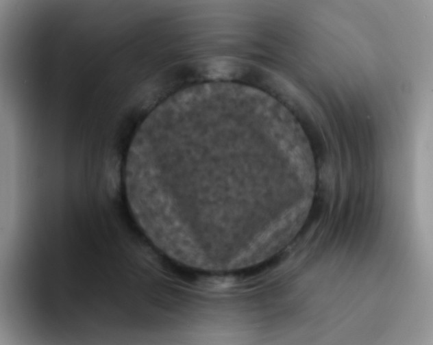 X0000091940554200709261934