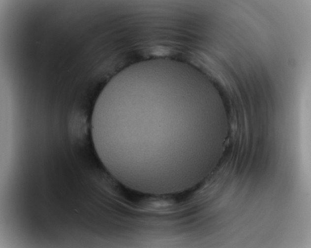 X0000091940555200709261934