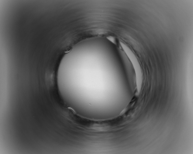 X0000091940556200709261934