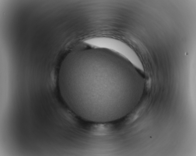 X0000091940558200709261934