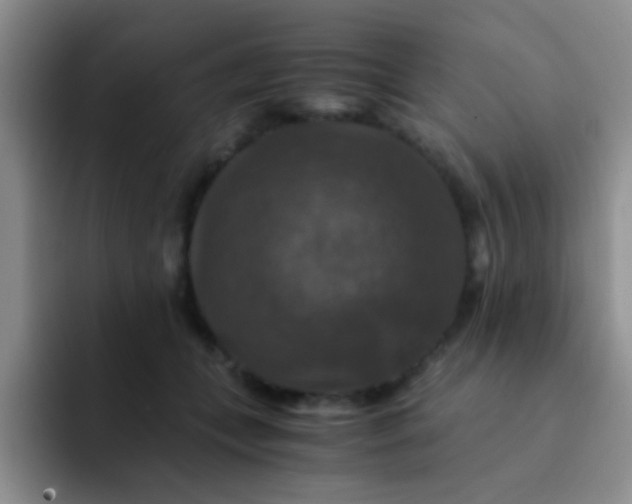 X0000091940559200709261934