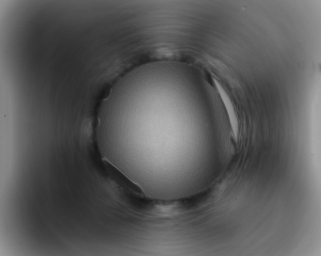 X0000091940560200709261934