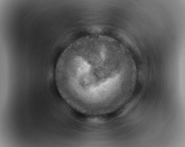 X0000091940561200709261934