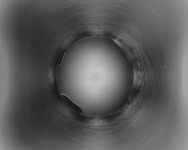 X0000091940562200709261934