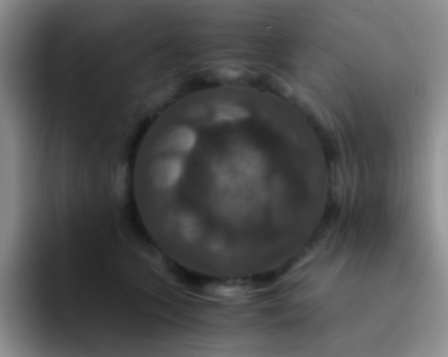 X0000091940563200709261934